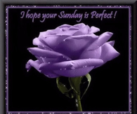 Have a great Sunday