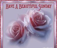 Have a beautiful Sunday