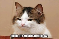 It's monday tomorrow