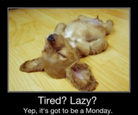 It's got to be monday