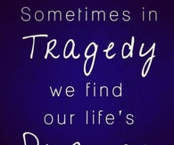 We find lifes purpose