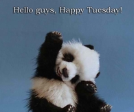 Happy Tuesday