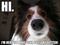Happy Tuesday