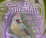 Blessings for Tuesday