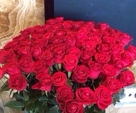 Red Roses