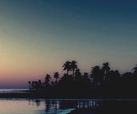 Take me to paradise