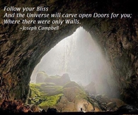 Follow your bliss