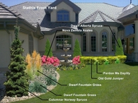 Amazing Front Yard Landcsaping
