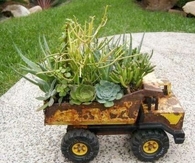 Fun garden diy