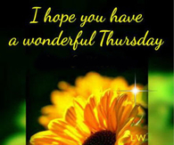 Have a wonderful Thursday
