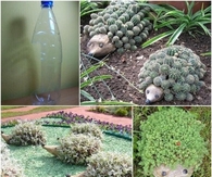 DIY Plastic Bottle Hedgehog Planter