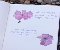 We Kill Beautiful Flowers