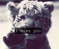 I Miss You