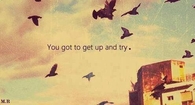 You got to get up and try