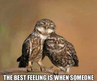 The best feeling
