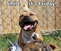 Smile it's Friday
