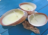 Simple Shell Candles