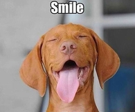 Smile its friday