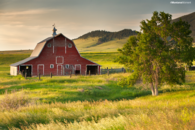 Old barn