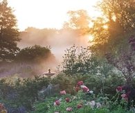 Morning garden