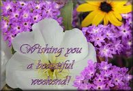 Wishing you a beautiful weekend