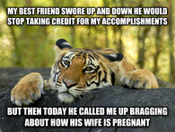Poor Tiger has gets no respect