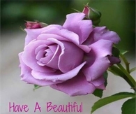Have a beautiful Saturday