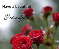 Have a beautiful Saturday