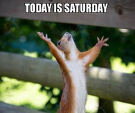 Today is Saturday