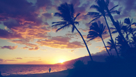 Tropical Sunset