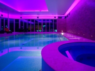 Purple Swimming Pool Light