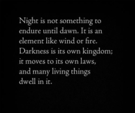 The Night