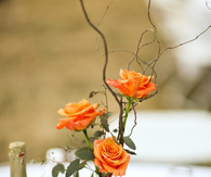 Orange rose table centerpiece