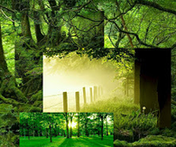 green one