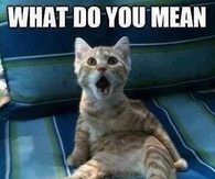 tomorrow is monday