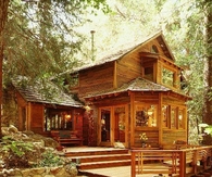 Cabin in the woods