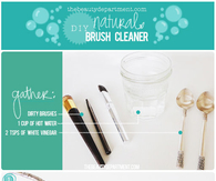 DIY NATURAL BRUSH CLEANER