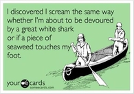 Funny thoughts of screams
