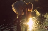 Sunlit dreams