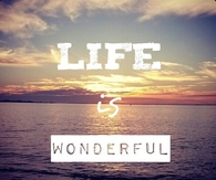Life is wonderful
