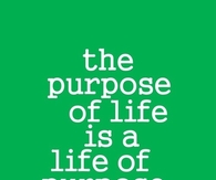 The purpose of life is a life of purpose