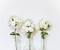 White flowers 