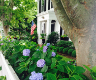 Flower bed