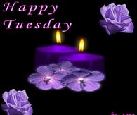 Happy Tuesday