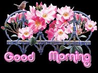 Good Morning