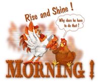 Rise & Shine