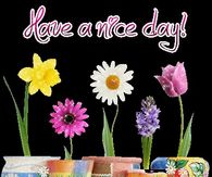 Have a nice day