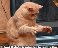 Poor Ralph