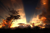 Goden rays