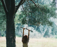 Tree swing